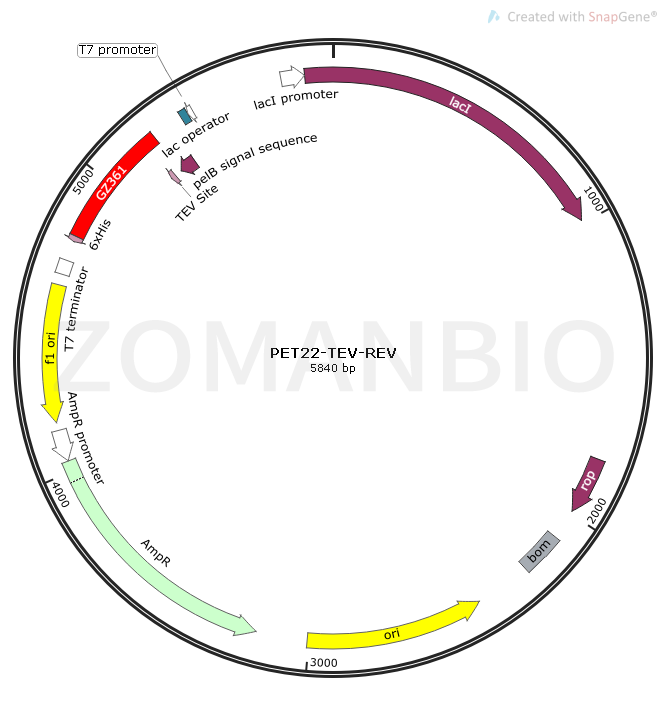 PET22-TEV-REV Map.png